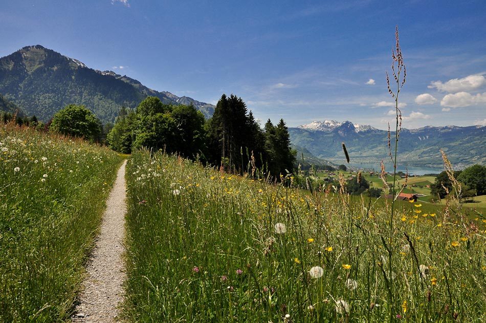 Jakobsweg Einsiedeln-Genf