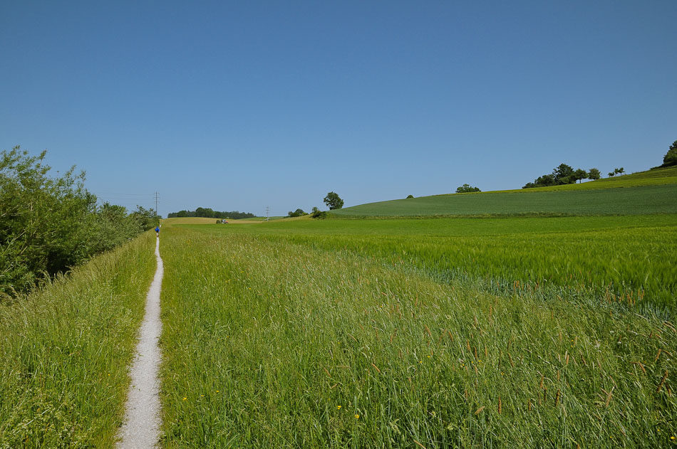 Jakobsweg Einsiedeln-Genf