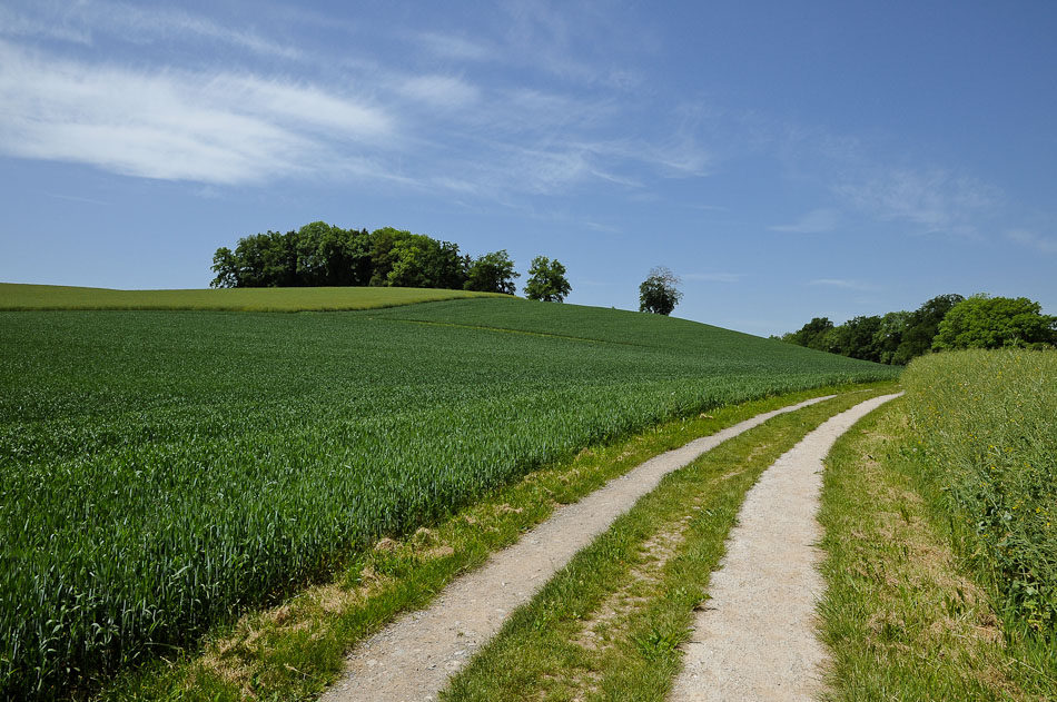 Jakobsweg Einsiedeln-Genf