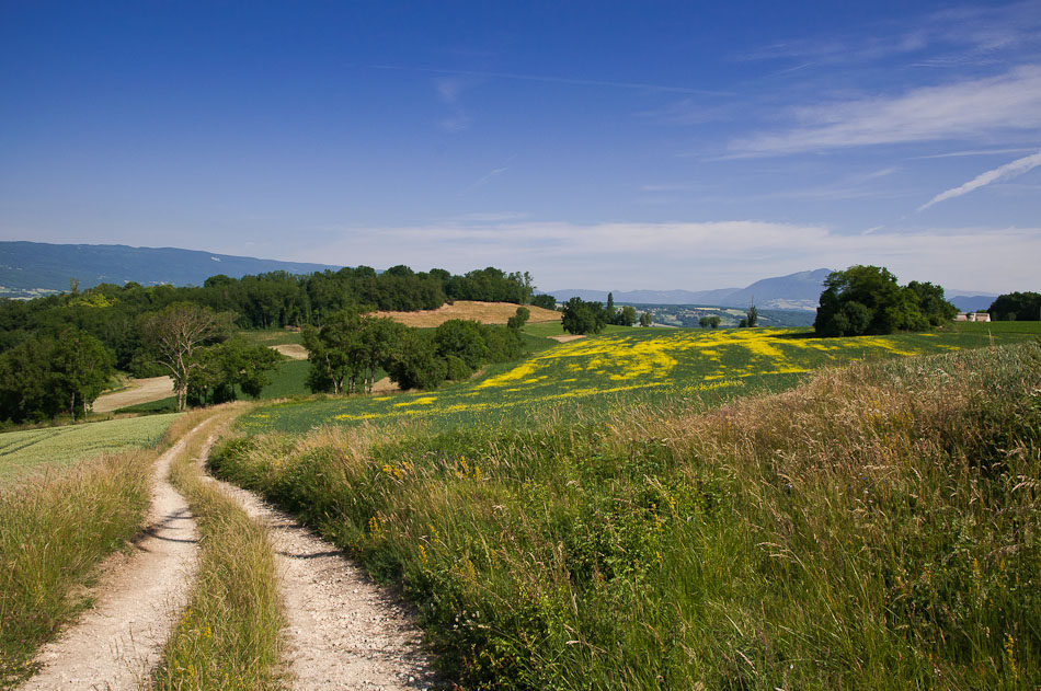 Jakobsweg Via Gebennensis