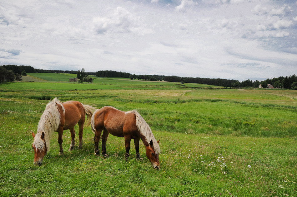 Jakobsweg Via Gebennensis