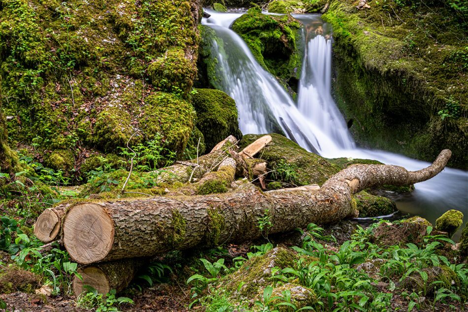 Chaltbrunntal, Grellingen