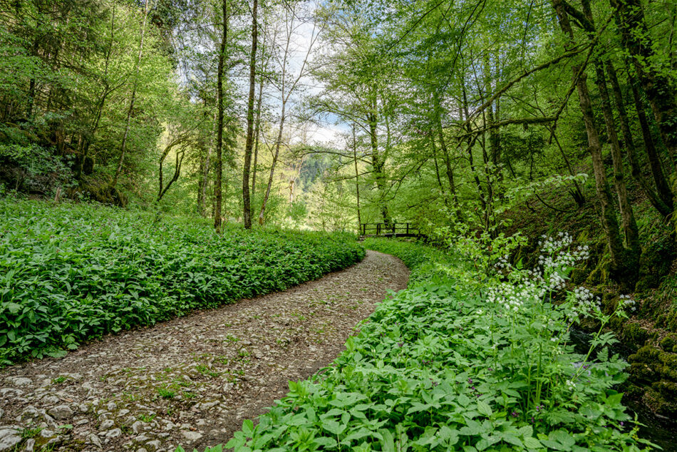 Chaltbrunntal, Grellingen