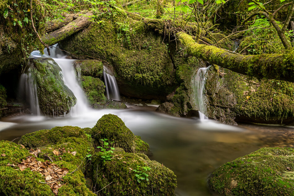 Chaltbrunntal, Grellingen