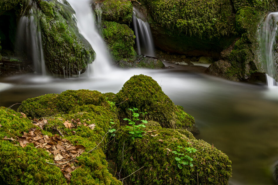 Chaltbrunntal, Grellingen