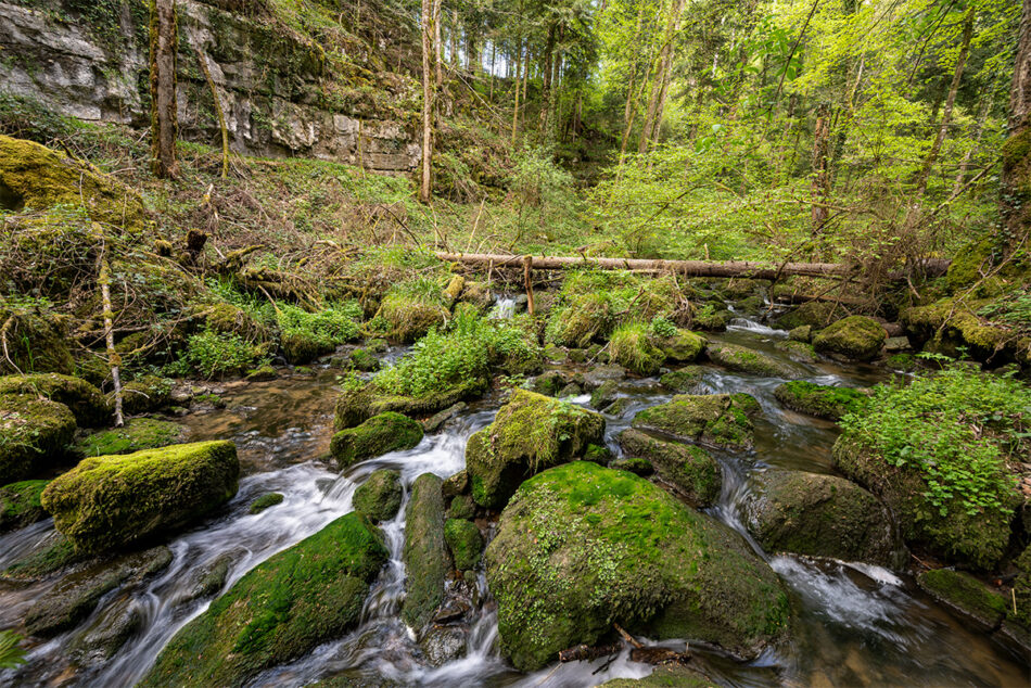 Chaltbrunntal, Grellingen